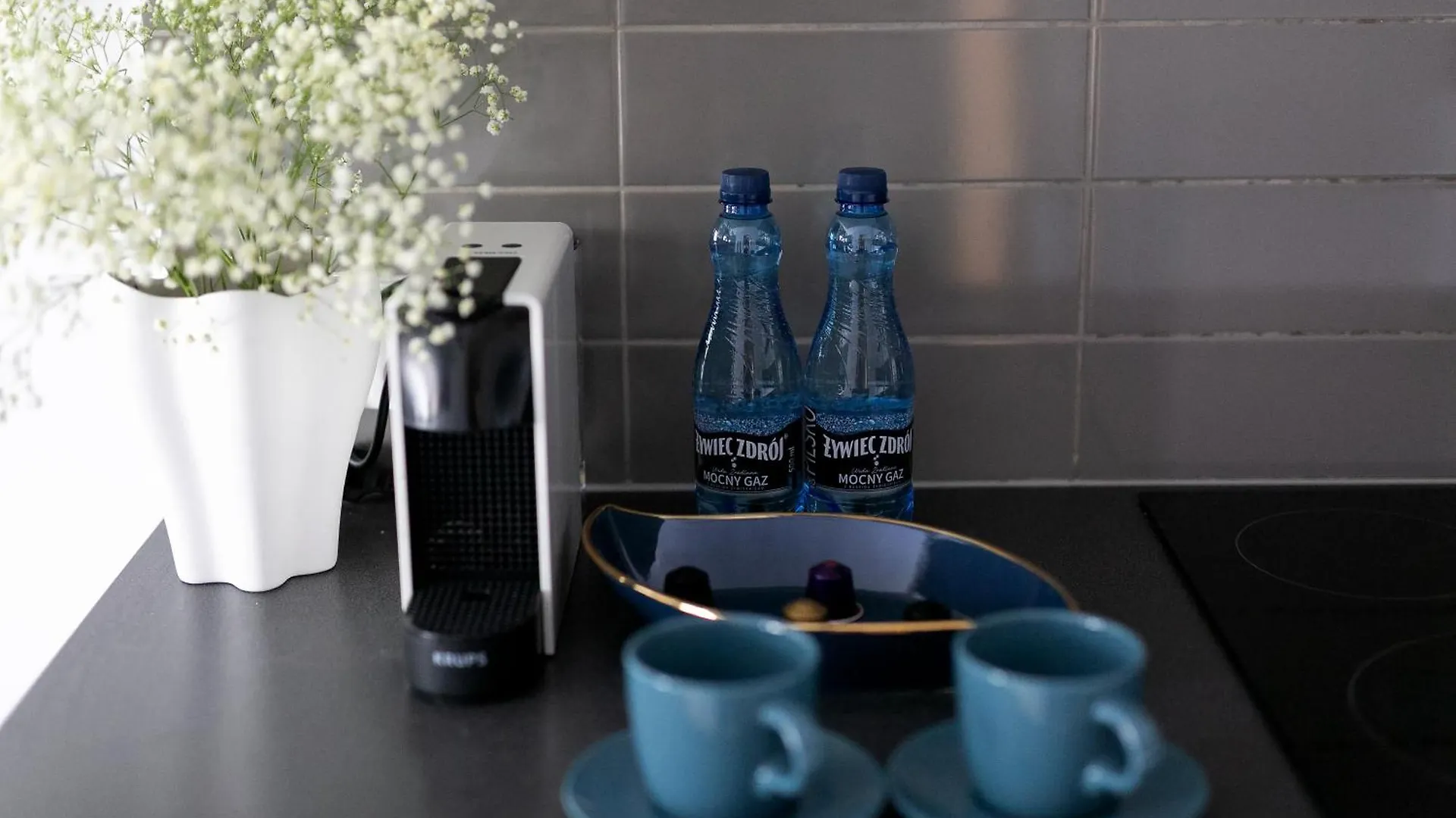 Malila Premium Apartments Cracow City Center Pawia 34 Krakow